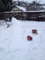 /album/fotogaleria/img-3266-jpg1/