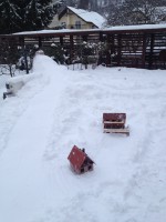 /album/fotogaleria/img-3267-jpg1/