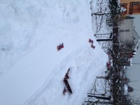 /album/fotogaleria/img-3292-jpg1/