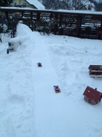 /album/fotogaleria/img-3318-jpg1/