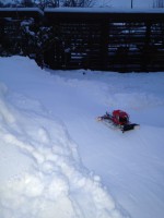/album/fotogaleria/img-3342-jpg1/