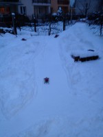 /album/fotogaleria/img-3345-jpg1/